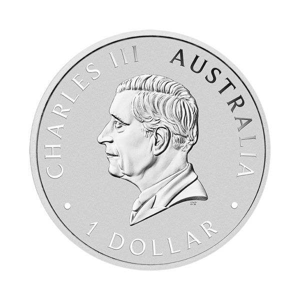 2025 $1 Perth Mint 1oz Brisbane ANDA Silver Coloured Koala Coin - Image 3
